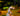 0087 RPG Sumpf Ghoule 01"