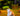 0070 RPG "Riesenfrosch"