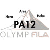 PA 12