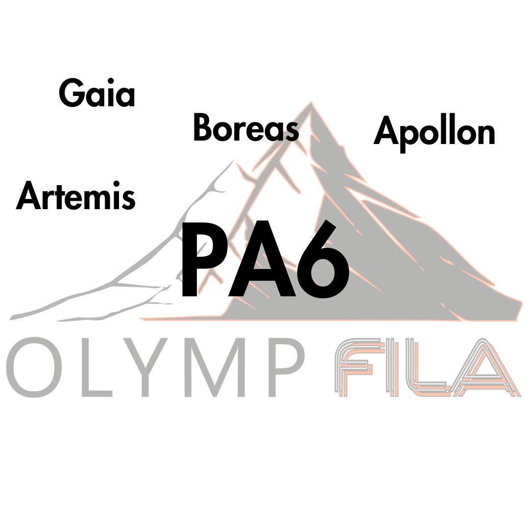 PA 6