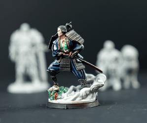 0071 RPG Samurai „Hikari Toshida“