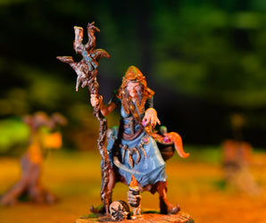0039 RPG Hexe „Morvina Mirewood“