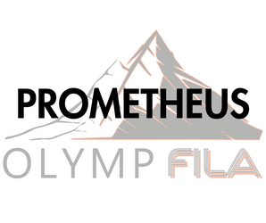PROMETHEUS PETG/UL94 V0