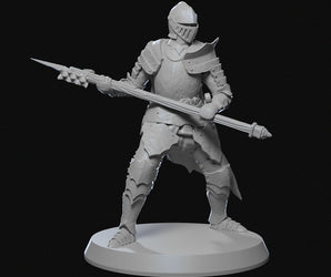 0069 RPG "Ravenhold Ritter 02"