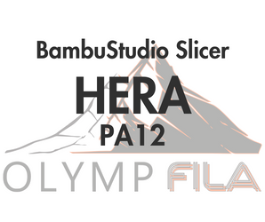 Slicerprofil BambuStudio für OlympFILA HERA PA12